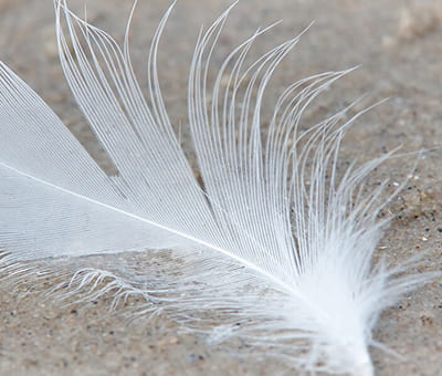 Легкий вес водостока Технониколь